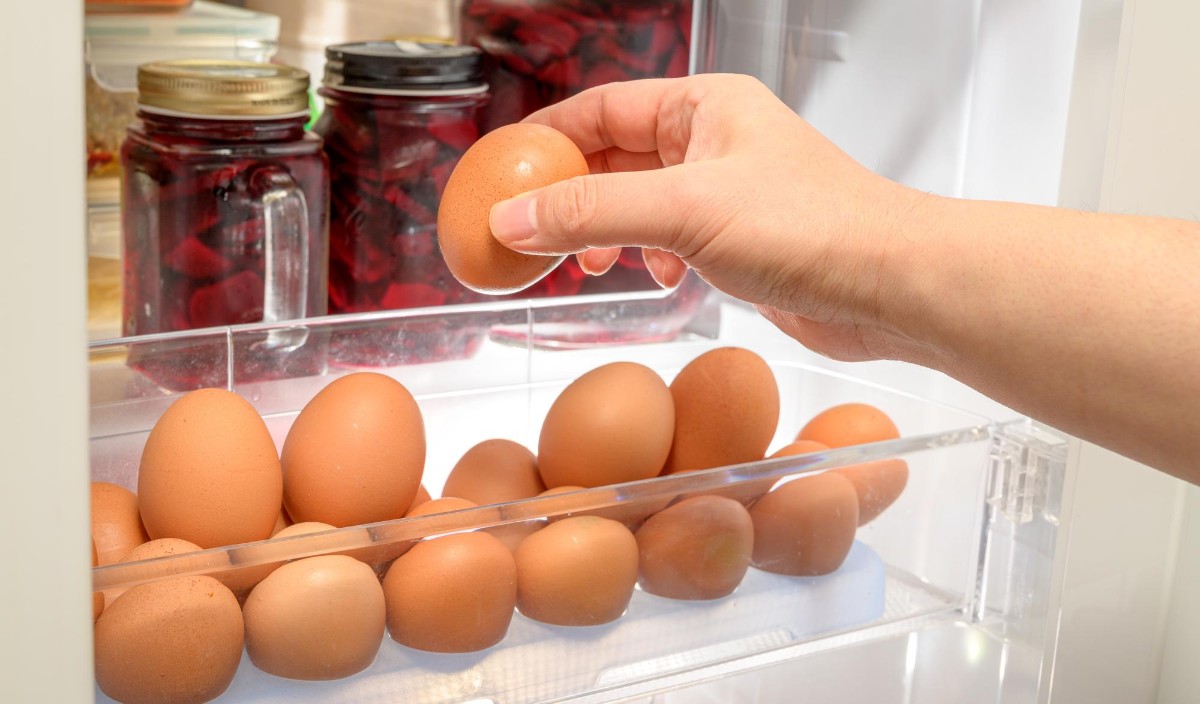 vejce-lednice