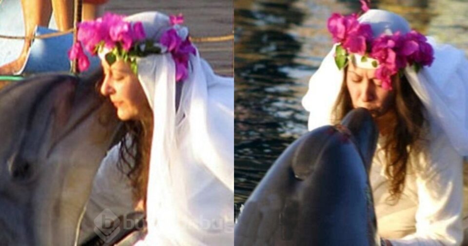 delfin-svatba